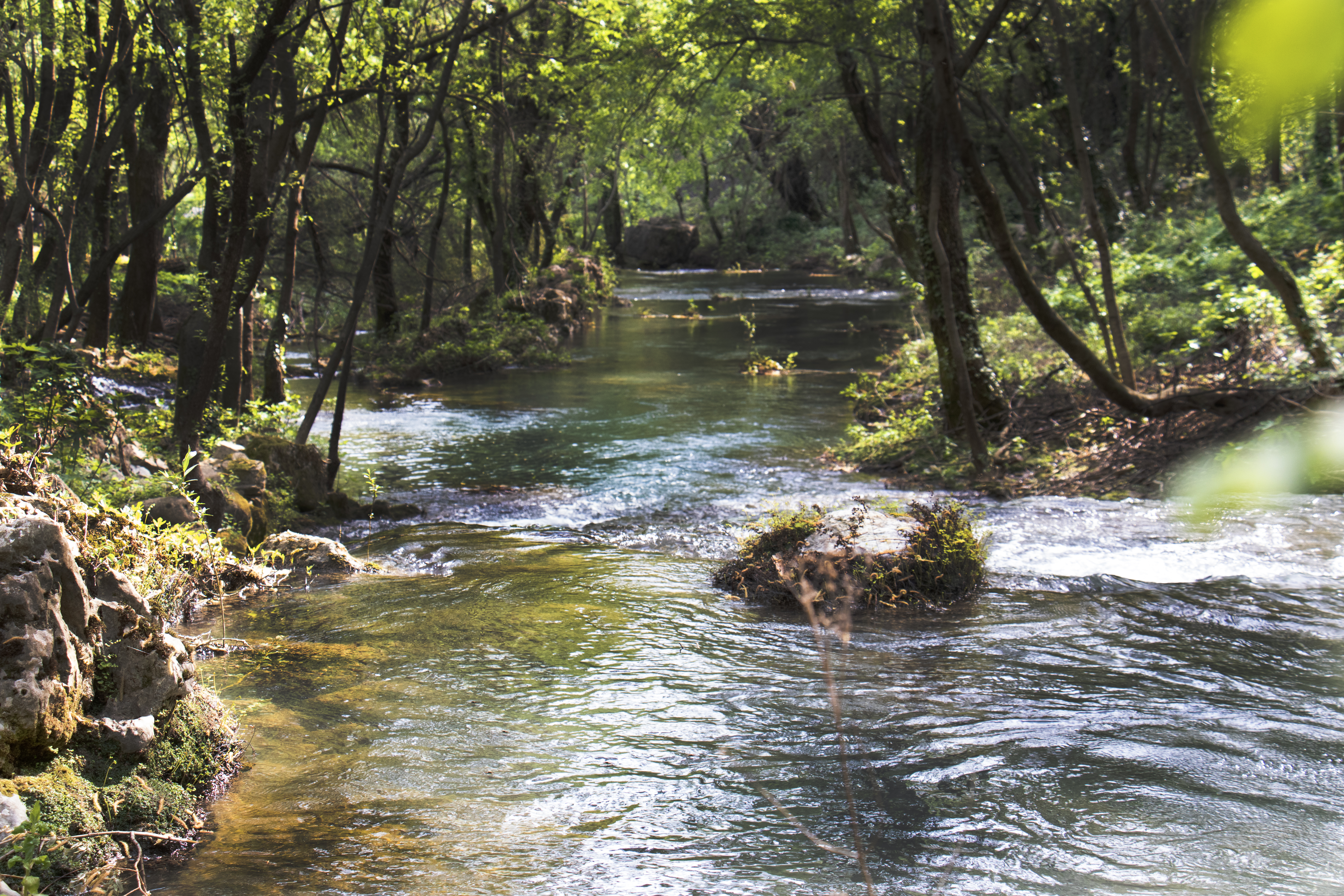 Tourist Attraction 2